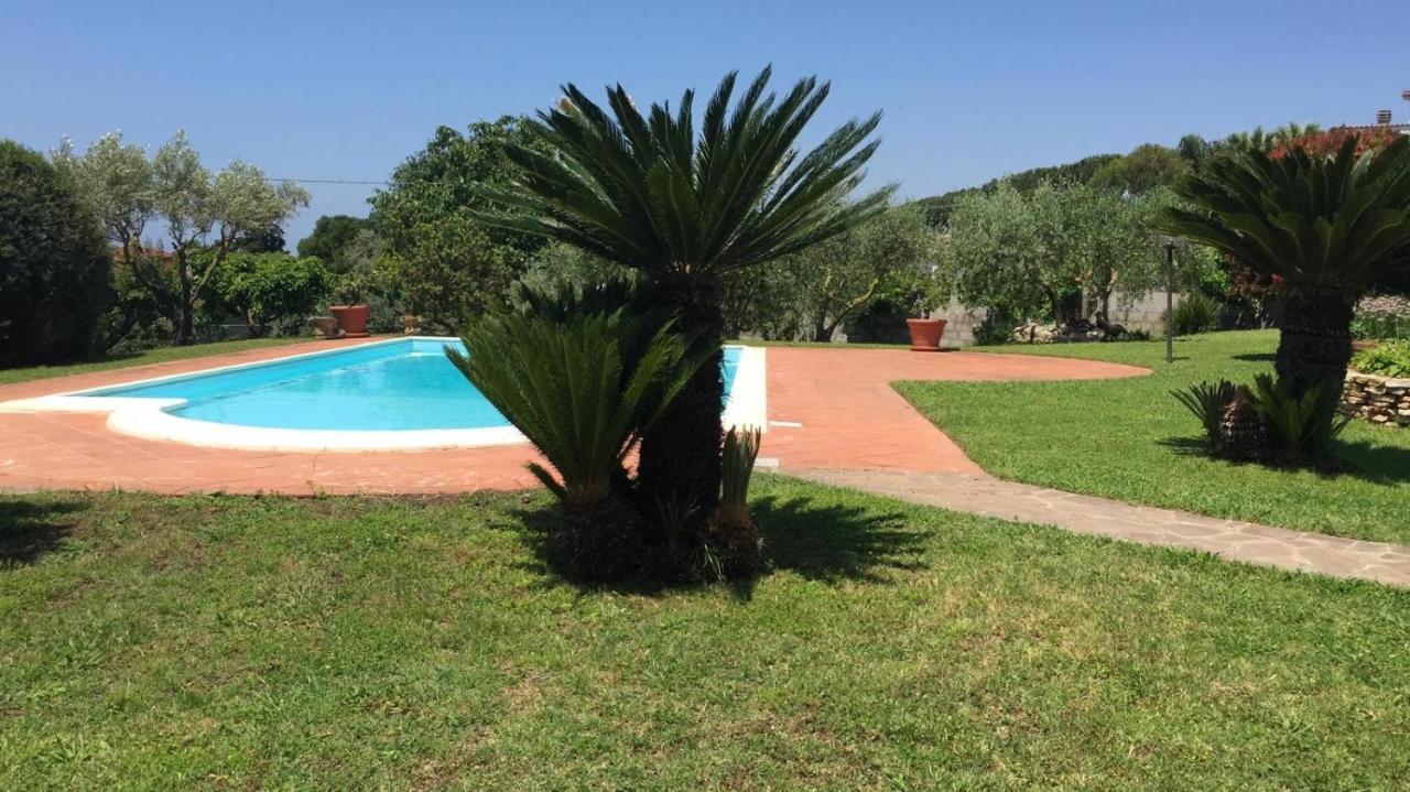 Apartament La Casa Di Iole Cogna Zewnętrze zdjęcie